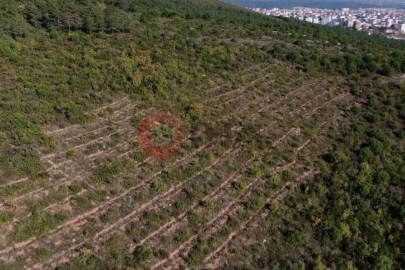 Pendik'te Aydos Ormanı'nda PKK'lı teröristin yaktığı ormanlık alanın son hali havadan görüntülendi