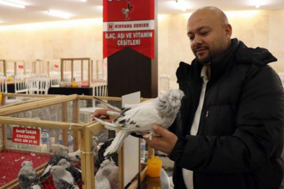 1 milyona güvercin!