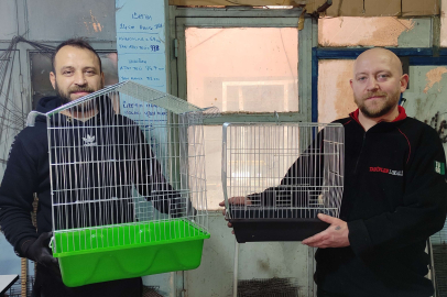 Abi kardeş 70 metre kare atölyede Türkiye'nin kafes ihtiyacını karşılıyor