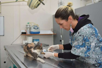 Bursa Yıldırım'da sessiz sakinlere 7/24 hizmet
