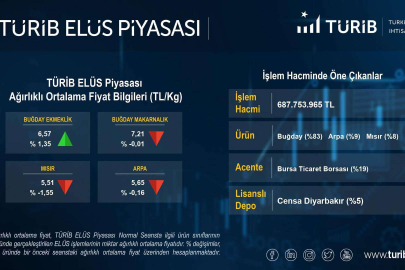 Bursa Ticaret Borsası'nın 2022 yılı tescil işlem hacmi 17 milyar lira ile rekor kırdı