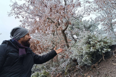 Ağaçlara düşen kırç görsel şölen yaşattı