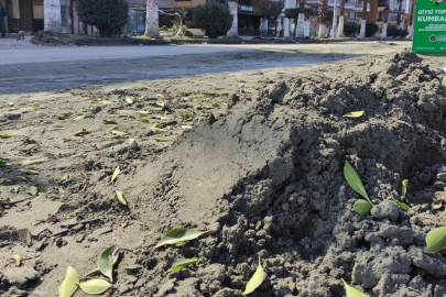 Deniz kumu sanıldı, kılcal damarlardan yüzeye çıkan sitrik kil olduğu anlaşıldı