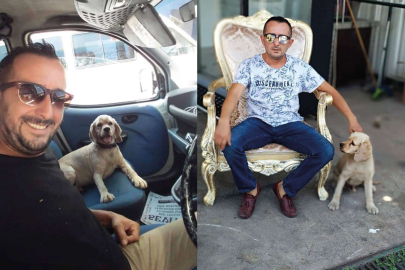 Köpeğini 5 kez buldu, 6. kez çaldılar