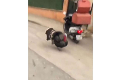 Motosikletine binmek isteyen kuryeye hindi engeli