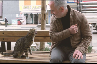 Gürsu’nun ‘Tatlı Serseri’si vatandaşın maskotu oldu