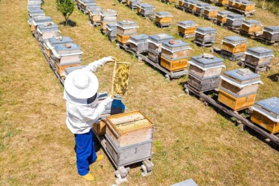 İnegöl Belediyesi 250 adet arı kovanı dağıtacak