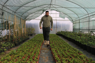 Depremin ardından bahçelere yönelen vatandaşların fide ve bitkilere ilgisi arttı