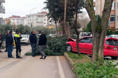 Alkollü sürücü ağacı devirerek durabildi