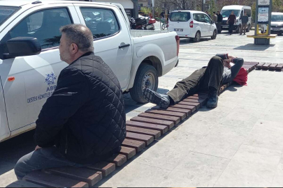 Böyle uyku keyfi görülmedi, ortalık karıştı uyku keyfini bozmadı