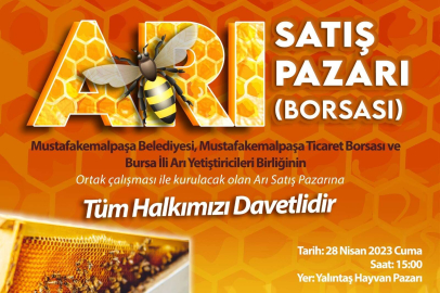 Türkiye’nin ilk arı pazarı Bursa Mustafakemalpaşa’ya kurulacak