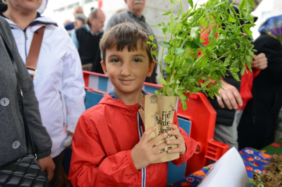 Nilüfer'de balkon tarımı fidelerle yaygınlaşıyor