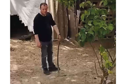 Bursa’da bahçesine giren yılanı elleriyle yakaladı