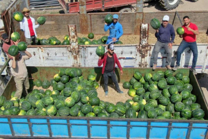 İşçilerin zorlu mesaisi: Adana sıcağında her gün 150 ton karpuz yüklüyorlar