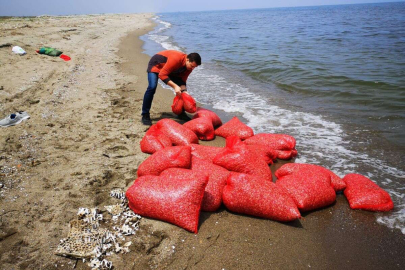 Yasak dönemde midye avcılığı denetimi devam ediyor