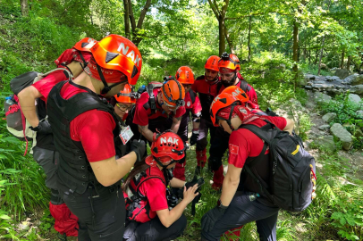 Şifalı bitki toplamak için çıktığı Uludağ'da kayboldu