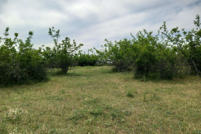 Parçalanmış cesede ilişkin 2 şüpheli tutuklandı