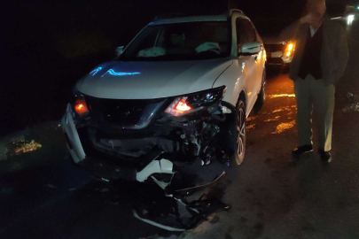 Ana yola fırlayan domuz sürüsüne araçlar çarptı