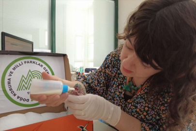 Çimleri keserken dikkat edin...