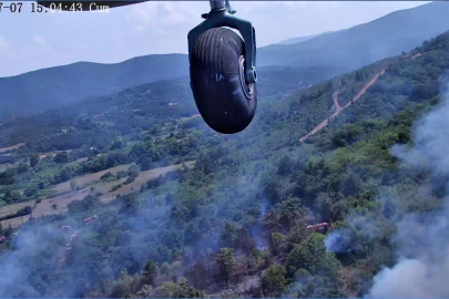 Çanakkale’de orman yangını