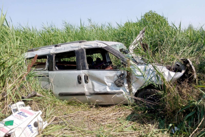 Köpeğe çarptı, bariyerlere uçtu