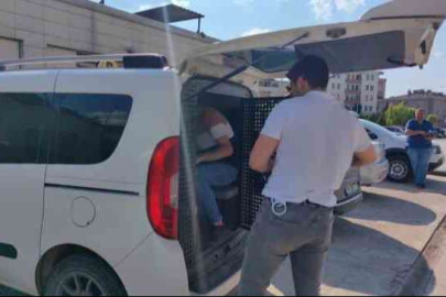 Kiracı ve işyeri sahibi kavgasında 2 kişi tutuklandı, 1 kişi sınır dışı edildi