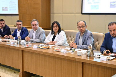 Bursa'da doğal gaz zirvesi