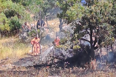 Orhaneli'de çıkan yangın söndürüldü