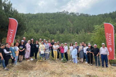 Sağlık çalışanları ağaçların da bakımını yaptı