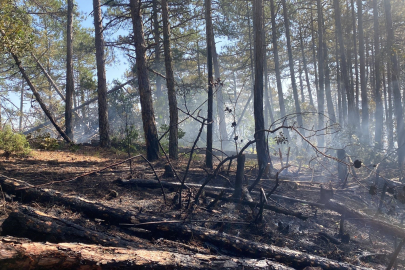 Kütahya'daki orman yangını için Bursa'da da seferberlik
