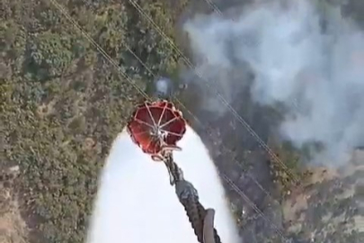 Çöp yakarken ormanı yaktı, bir köpek telef oldu