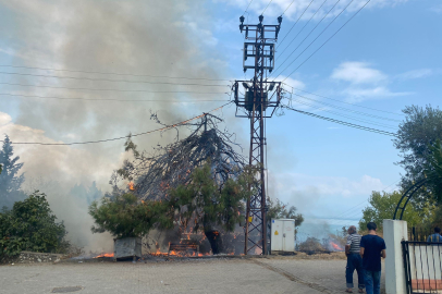 Trafo patladı, ağaçlar ve otluk alan alev aldı
