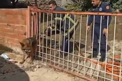 Demir kapıya sıkışan köpeği itfaiye kurtardı
