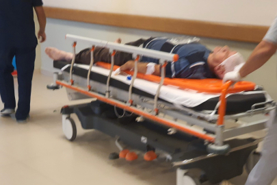 Ceviz toplamak için çıktığı çatıdan düştü