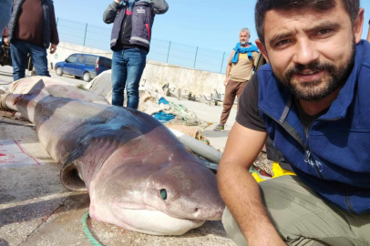 Jaws'la özçekim...