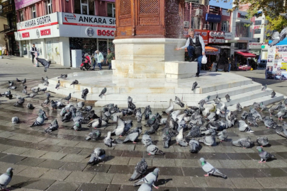 O ıslattı güvencinler dakikalarca banyo yaptı