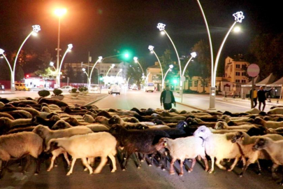 Yayladan indiler şehir merkezinden geçtiler