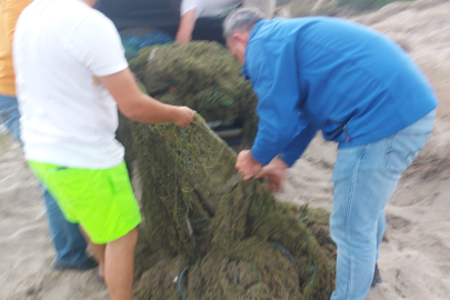 Kaçak avlanan bin kilo kum şırlanı denize bırakıldı