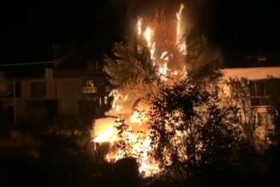 Ağaçlık alanda çıkan yangın korku dolu anlar yaşattı