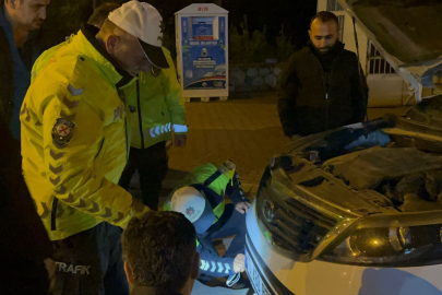 Polisin dikkati kediyi ölümden kurtardı