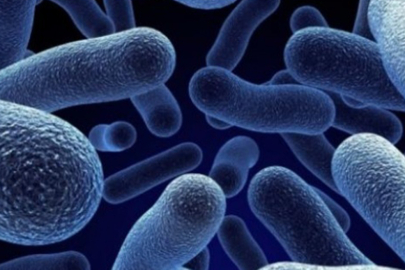 ABD ve Kanada’da salmonella salgını: 8 ölü