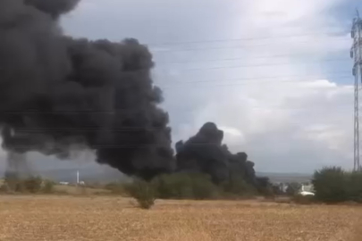 Bursa'da korkutan yangın