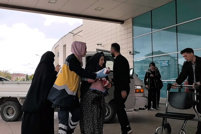 Bursa'da bir garip olay: Kedi ile köpeğin kavgasını ayırdı, kedinin saldırısına uğradı