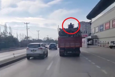 Kereste yüklü kamyonun üstünde ölüme meydan ettiler