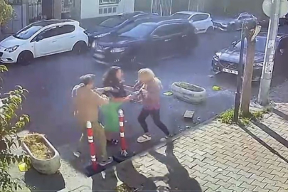 Kedisinin tıraşını beğenmeyen kadın veterinere saldırdı