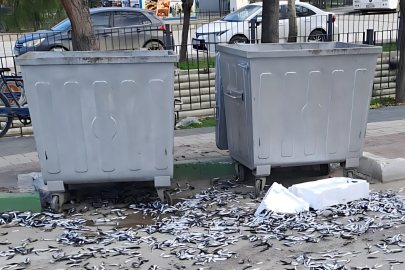 Çevre düşmanı bozuk balıkları yola döktü