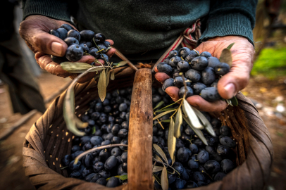 Gemlik'in en güzel fotoğraflarını belli oldu