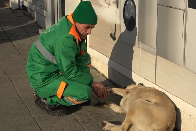 Belediye çalışanının köpekle keyifli vakit geçirmesi içleri ısıttı