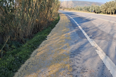 Tonlarca fasulye yollara saçıldı