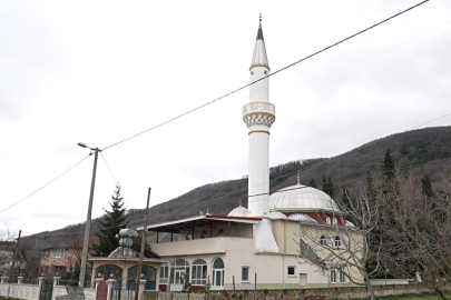 Firar eden ayı için camilerden anons yapıldı